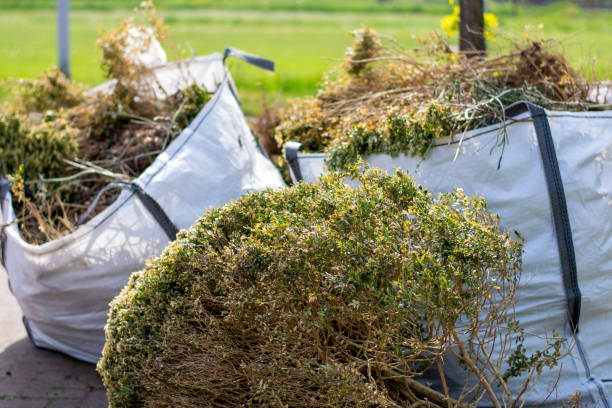 Best Shed Removal  in Dahlone, GA